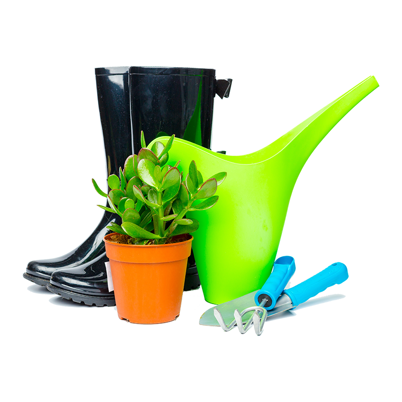 Garden Tools isolated  on White
